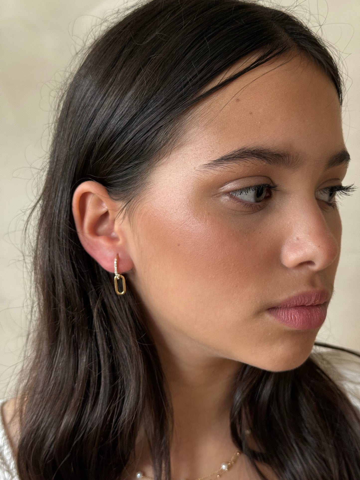 14k Gold Diamond Double Hoop Earrings