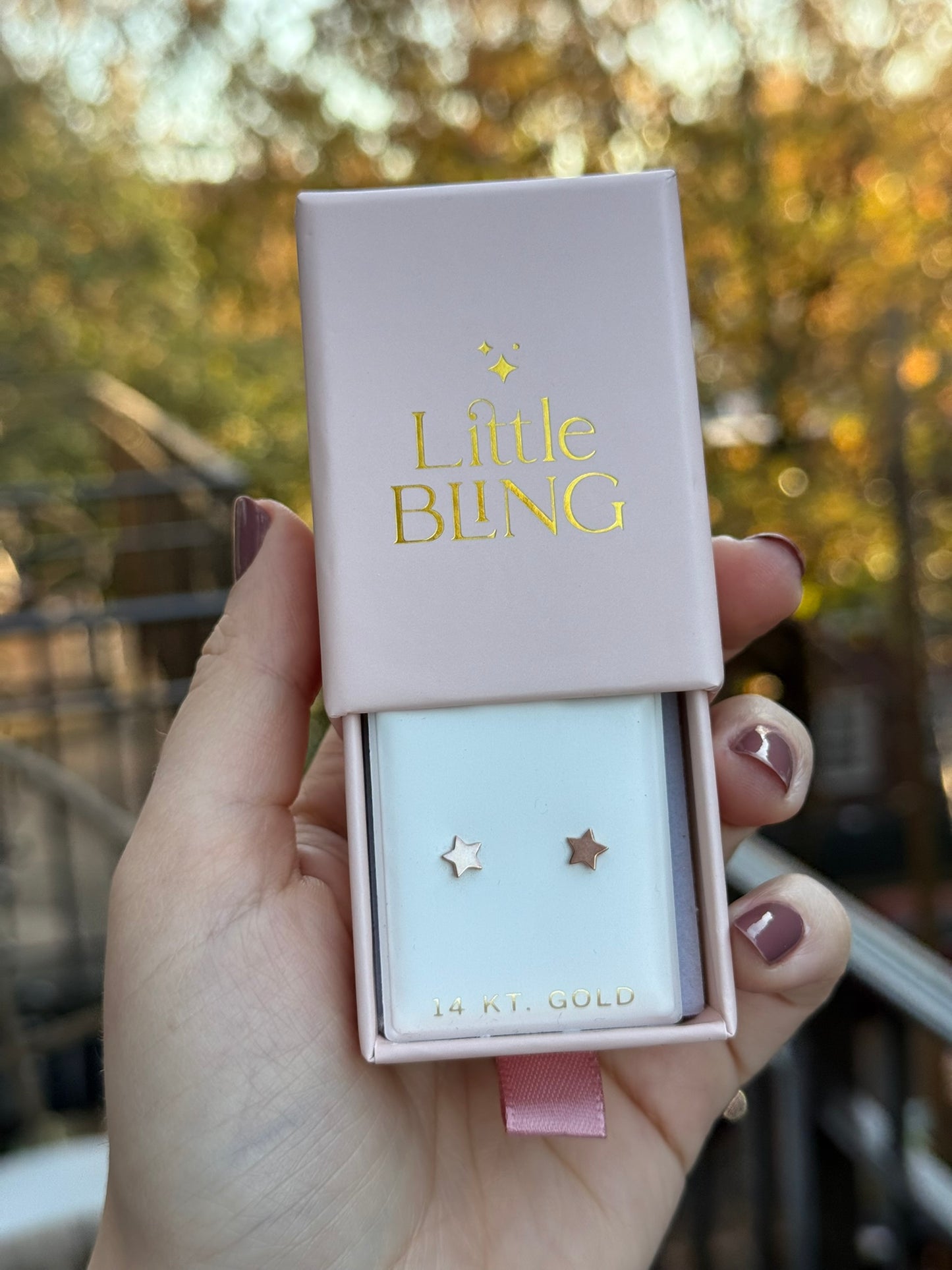 14K Rose Gold 5mm Star Stud Earrings