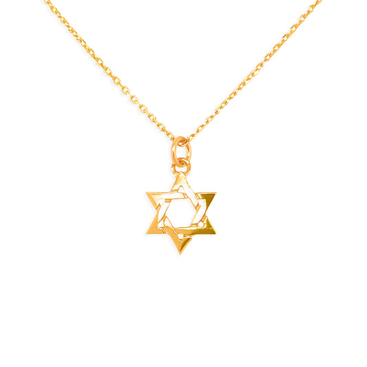 14k Yellow Gold Magen David Necklace