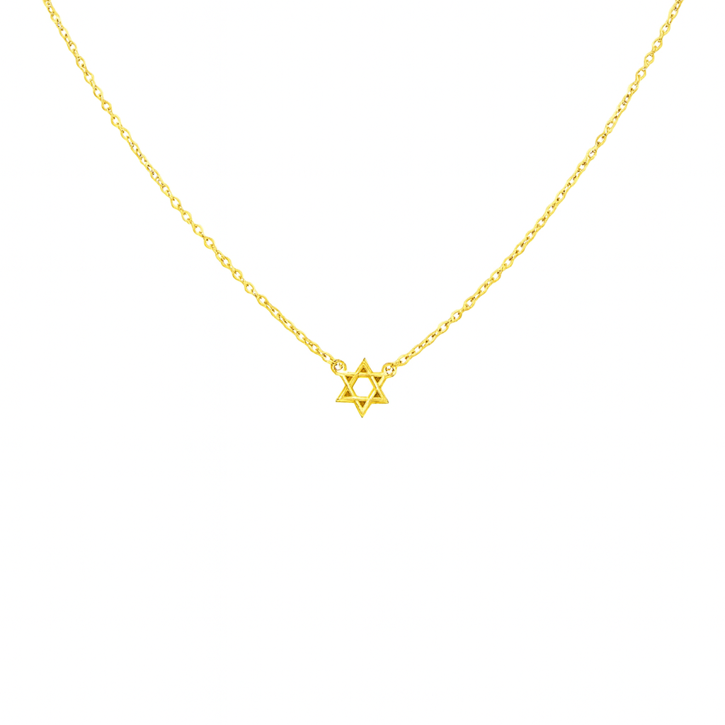 14k Gold Plated Mini Magen David Necklace