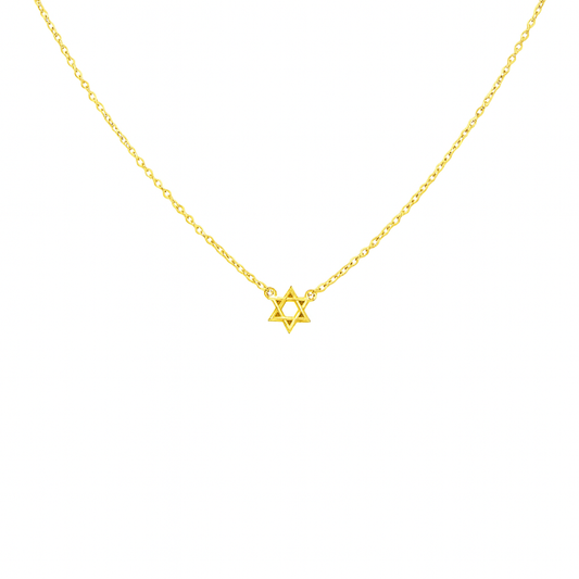 14k Gold Plated Mini Magen David Necklace